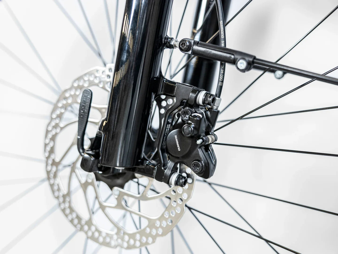 Trek Allant+ 7 Stagger