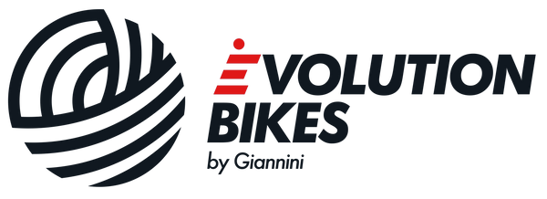 Evolution Bikes AT