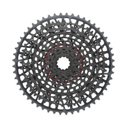 Pacco Pignoni Sram X0 Eagle XS 1295 T-Type Eagle 12s